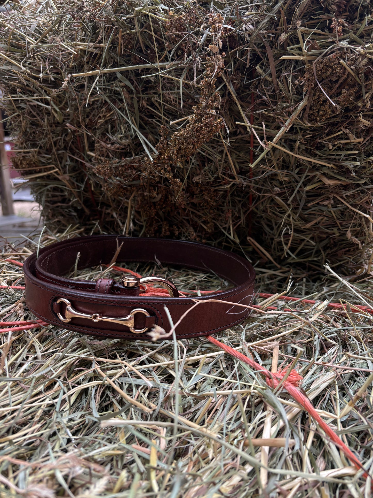 Wellington Belt | Cognac Leather Equestrian Belt with Gold Hardware