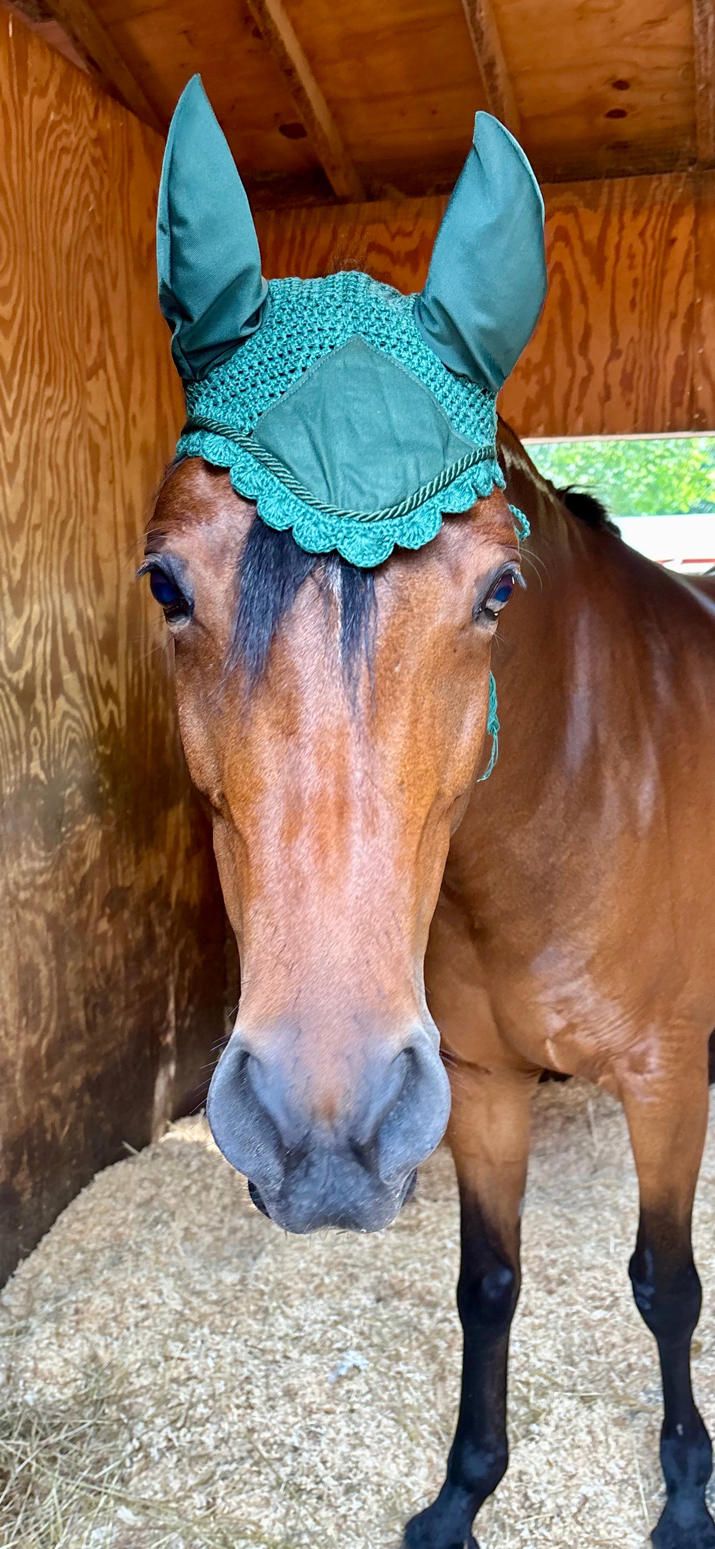 Dark Green Crochet Horse Ear Bonnet – Elegant Equestrian Fly Veil