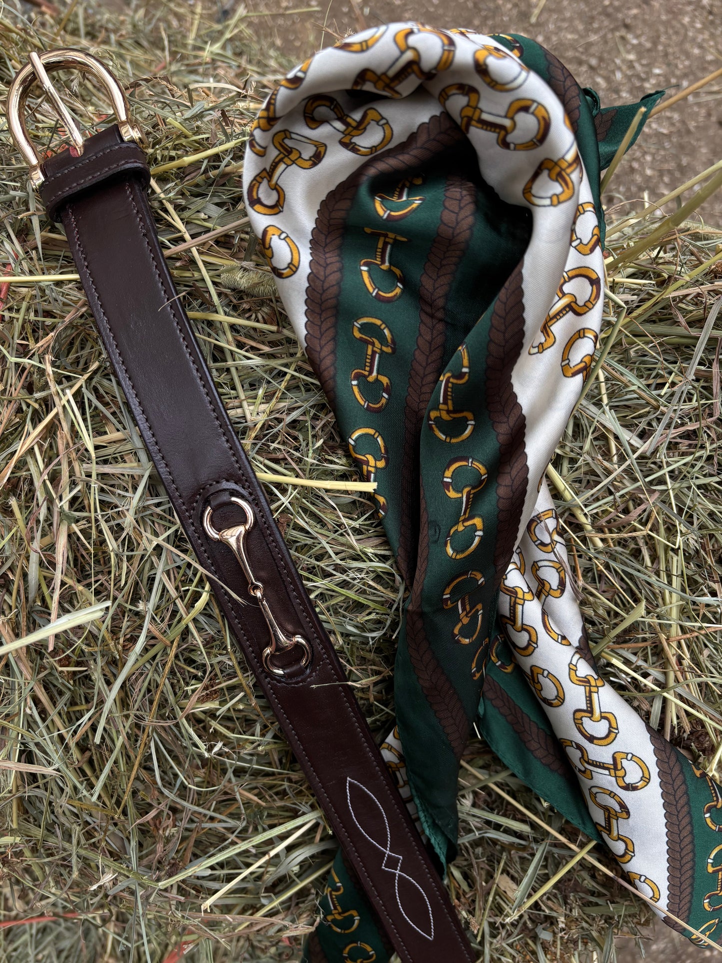 Belmont Belt | Dark Brown Leather Horse Bit Belt with Gold Hardware