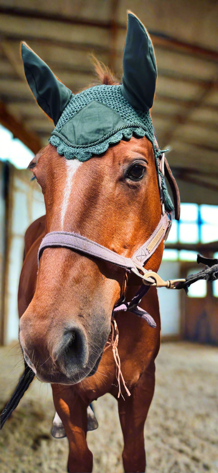 Dark Green Crochet Horse Ear Bonnet – Elegant Equestrian Fly Veil