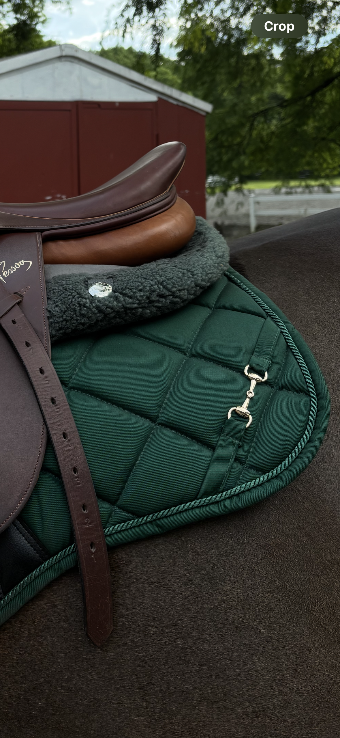 🌿 Equestrian Hunter Green Quilted Saddle Pad with Gold Bit Detail | Small Town Girl