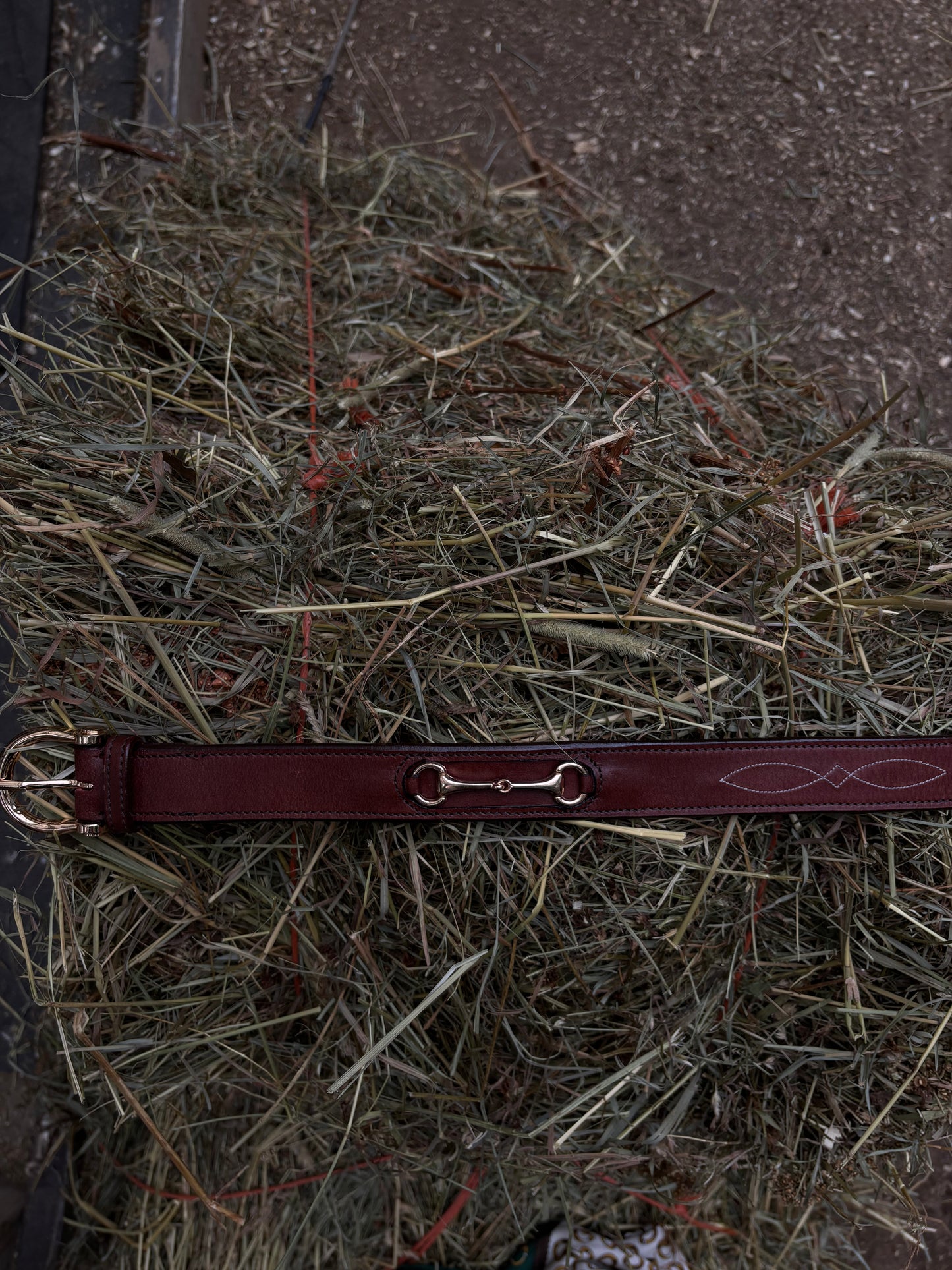 Wellington Belt | Cognac Leather Equestrian Belt with Gold Hardware