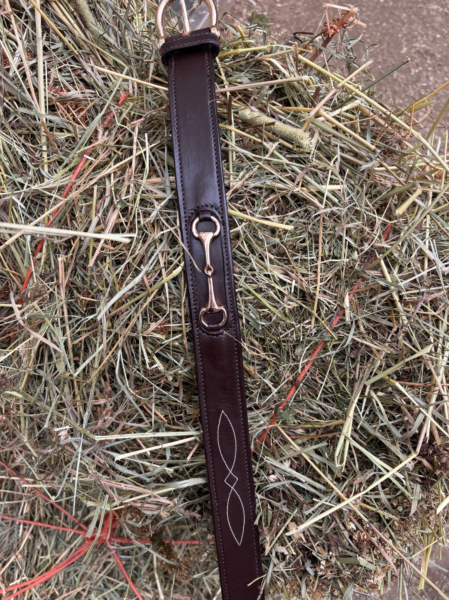 Belmont Belt | Dark Brown Leather Horse Bit Belt with Gold Hardware