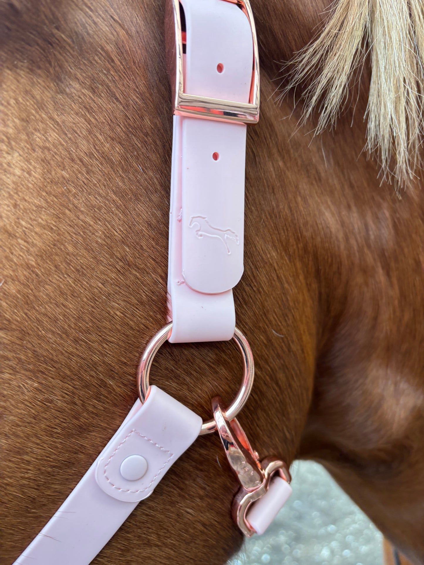 Baby Pink Waterproof Horse Halter – Adjustable, Durable & Weather-Resistant