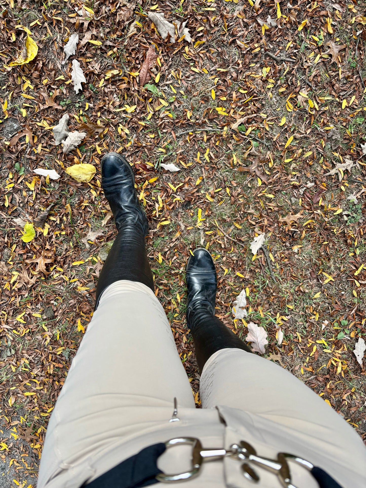 Beige Breeches- Full-seat silicone grip