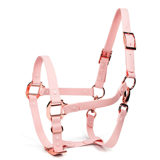 Baby Pink Waterproof Horse Halter – Adjustable, Durable & Weather-Resistant