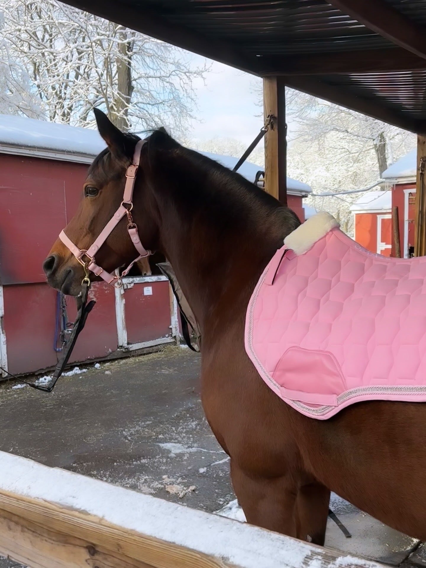 Babydoll Pink Suede Saddle Pad with Rhinestone Trim & Pink Faux Leather Patch