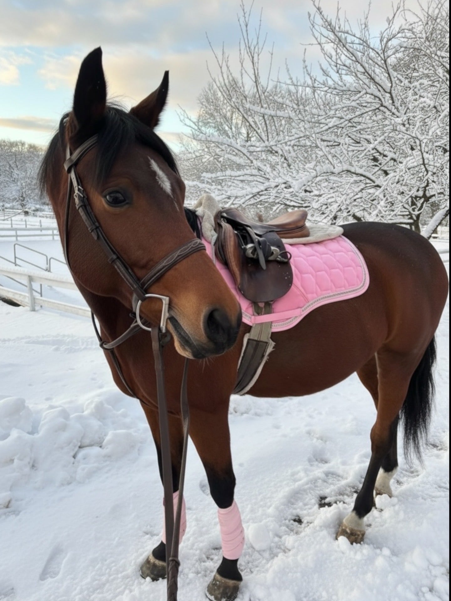 Babydoll Pink Suede Saddle Pad with Rhinestone Trim & Pink Faux Leather Patch