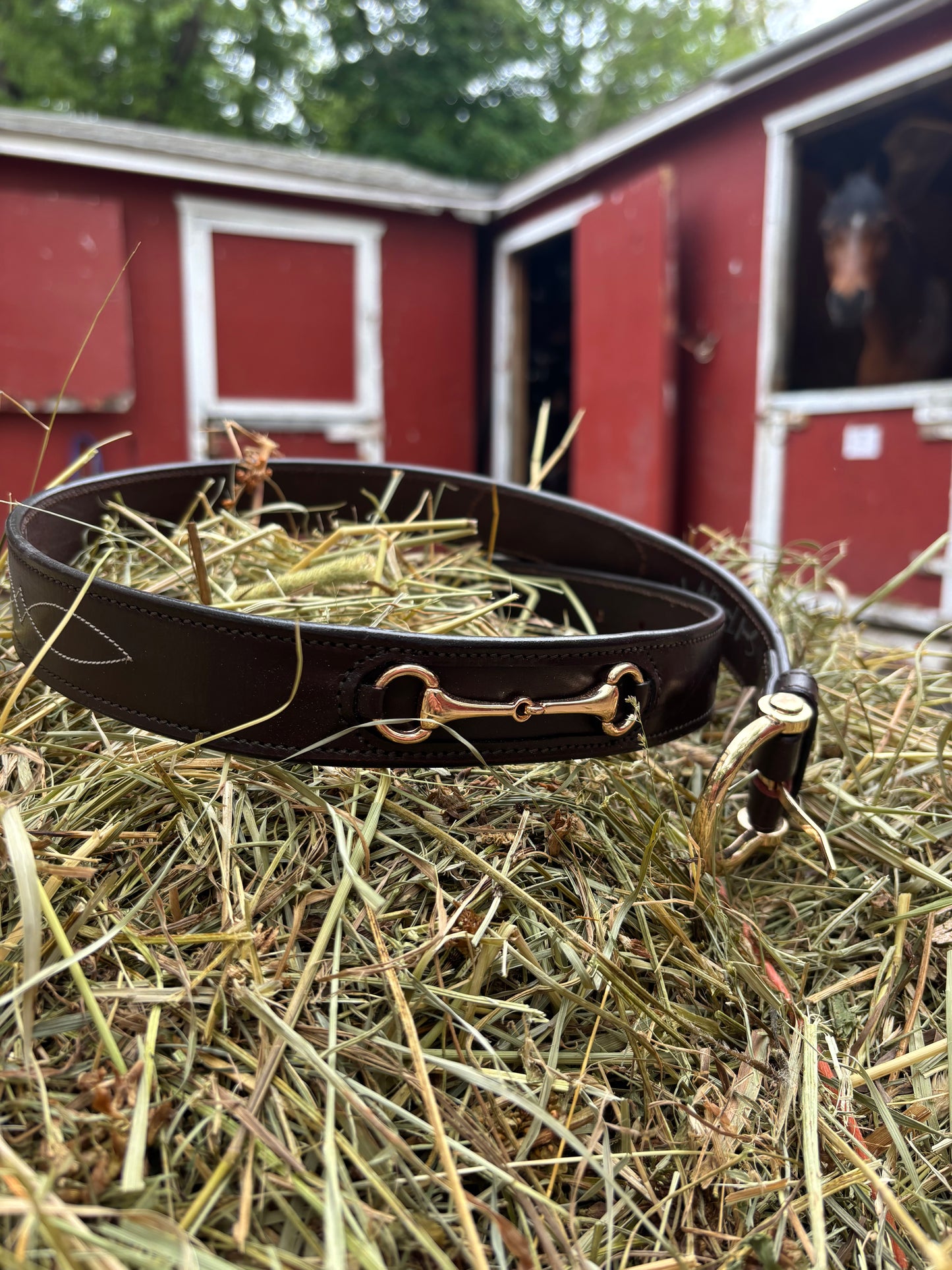 Belmont Belt | Dark Brown Leather Horse Bit Belt with Gold Hardware