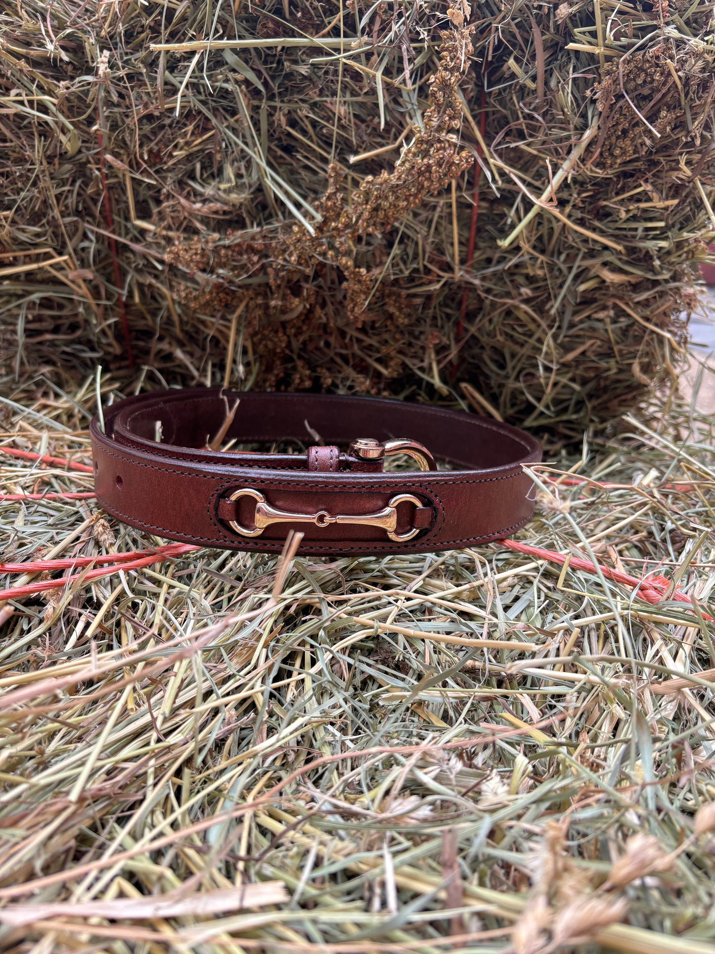 Wellington Belt | Cognac Leather Equestrian Belt with Gold Hardware