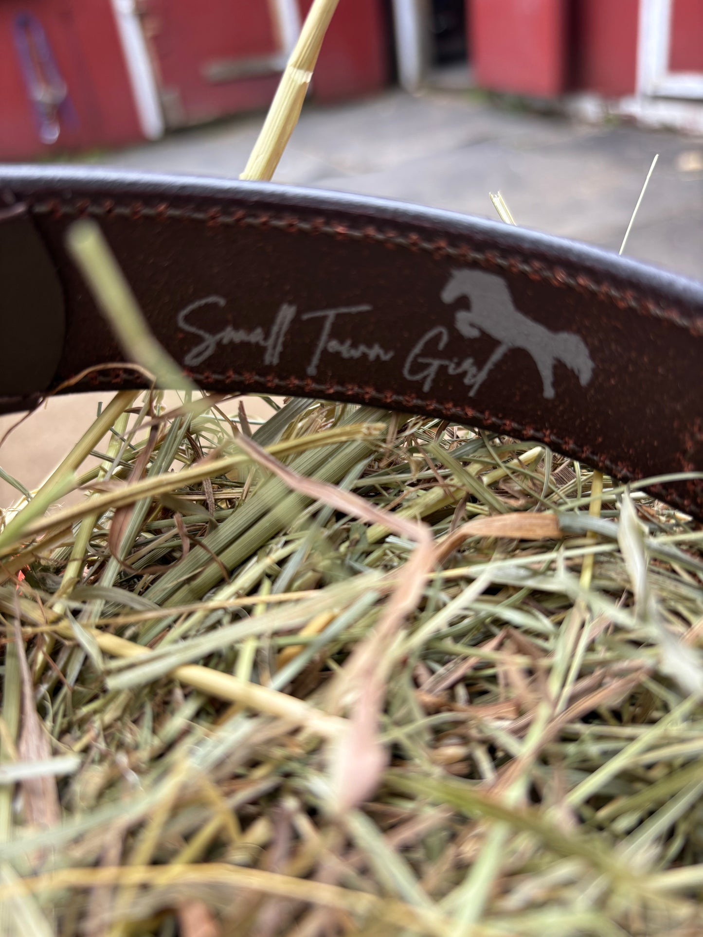 Belmont Belt | Dark Brown Leather Horse Bit Belt with Gold Hardware