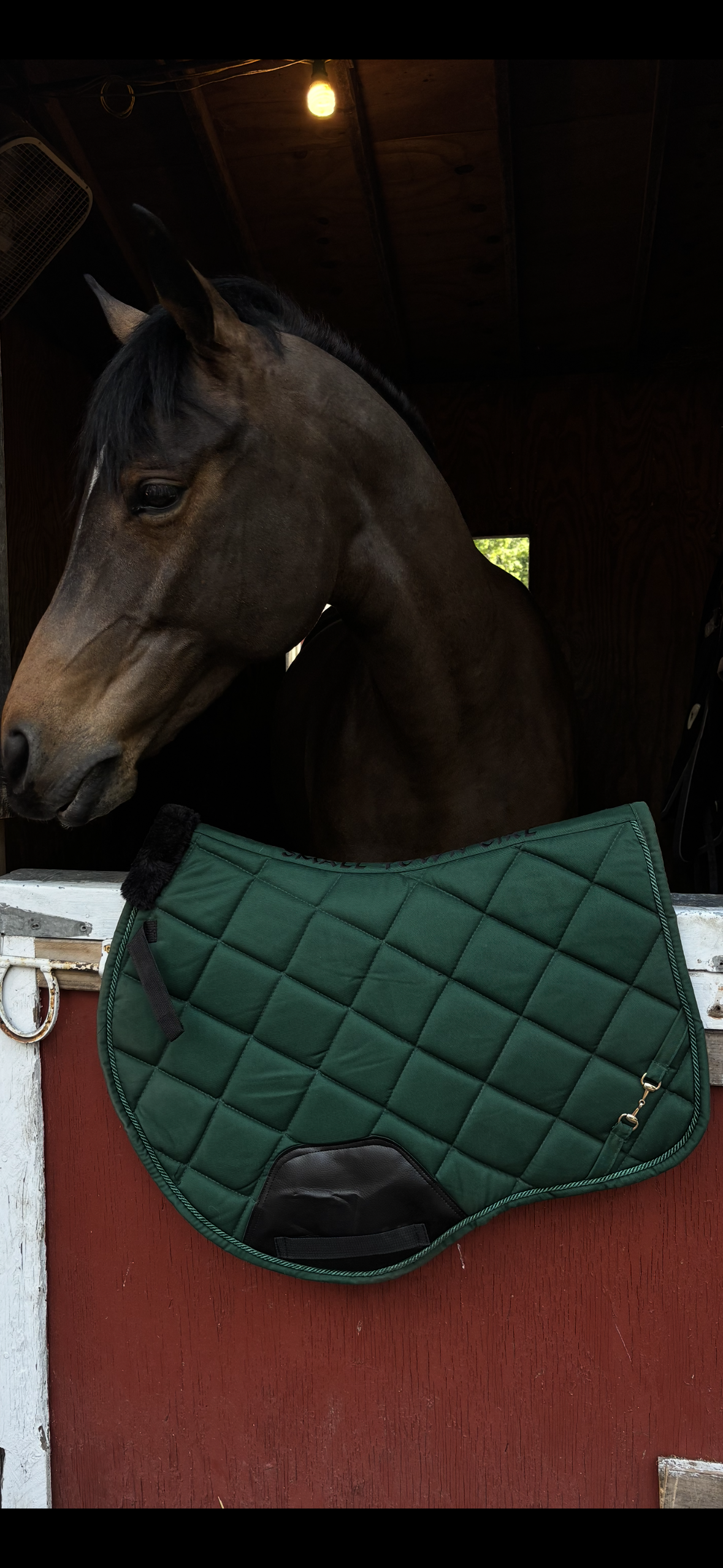 🌿 Equestrian Hunter Green Quilted Saddle Pad with Gold Bit Detail | Small Town Girl