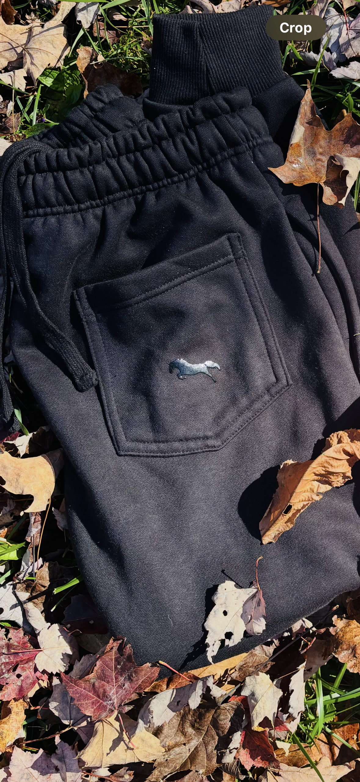 Black Sweatpants with back pocket- horse logo and signature logo