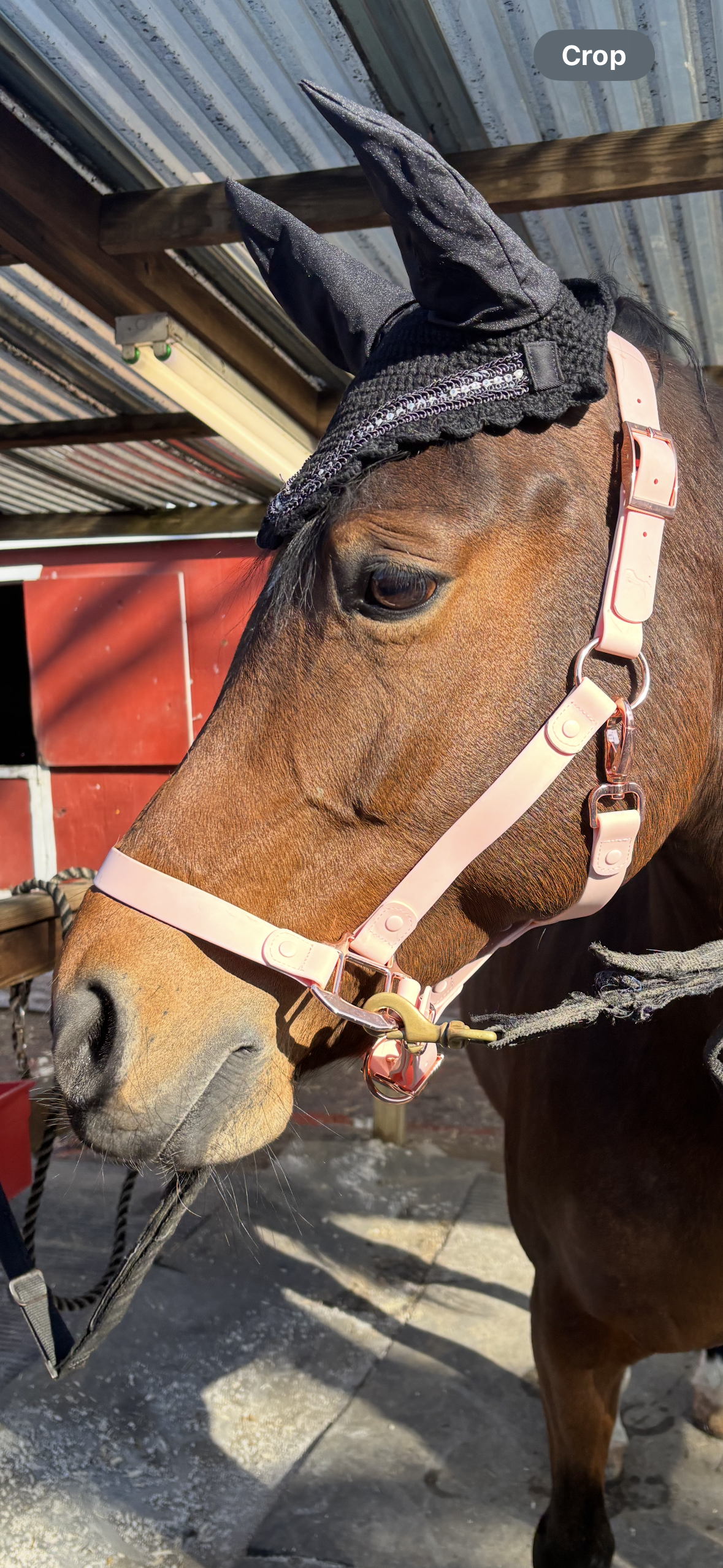 Midnight Black Ear Bonnet -Rhinestone Trim