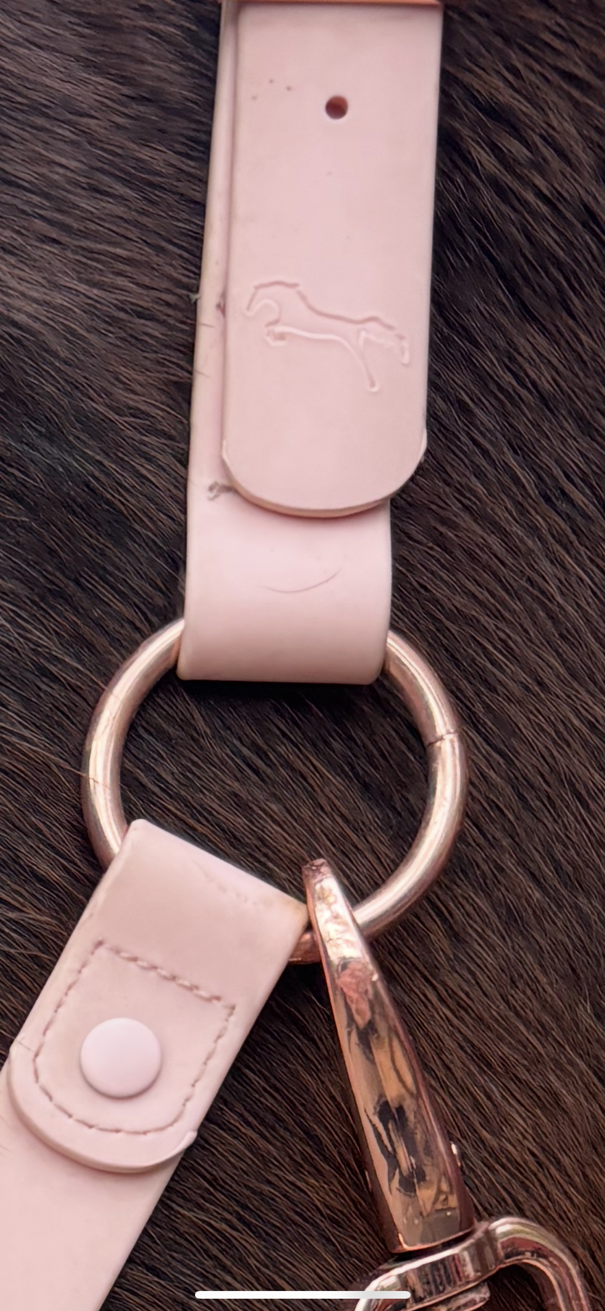Baby Pink Waterproof Horse Halter – Adjustable, Durable & Weather-Resistant